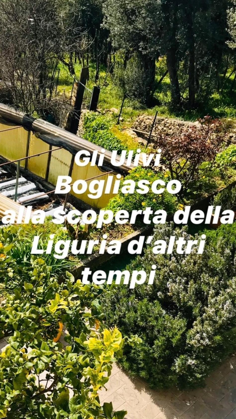Holiday home Cav Gli Ulivi Di *
