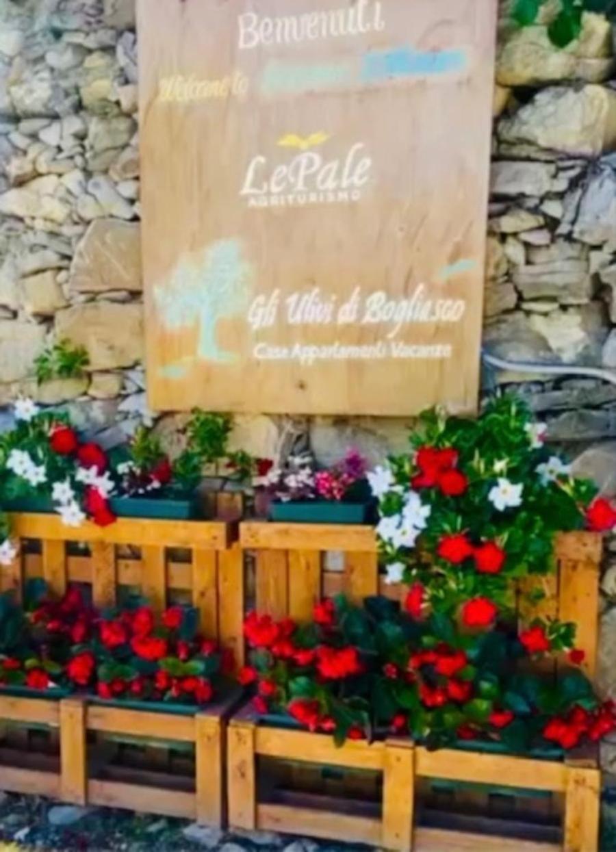 Holiday home Cav Gli Ulivi Di Bogliasco