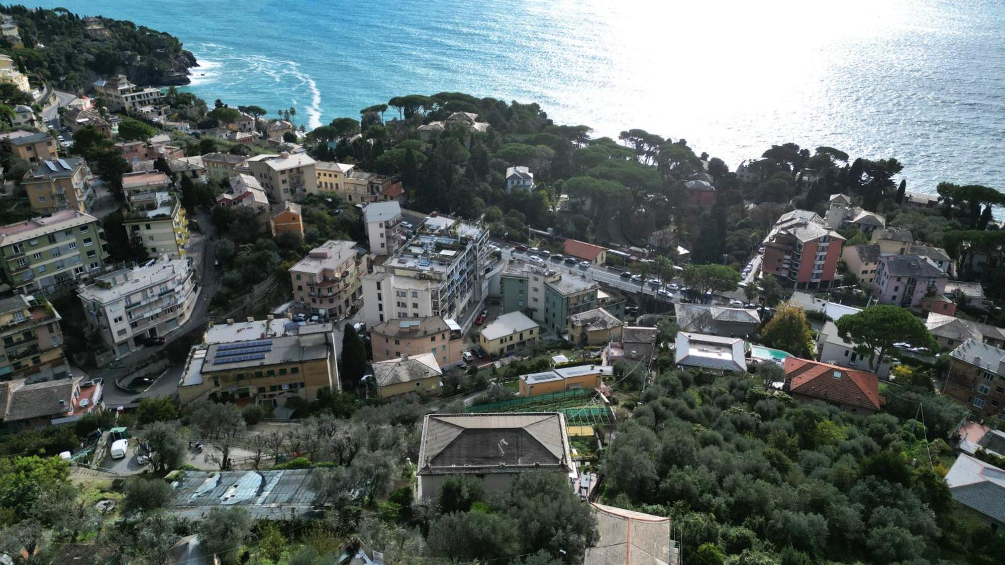 Cav Gli Ulivi Di *
