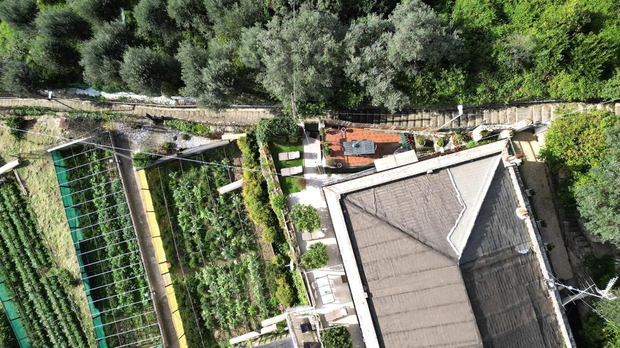 Cav Gli Ulivi Di Holiday home