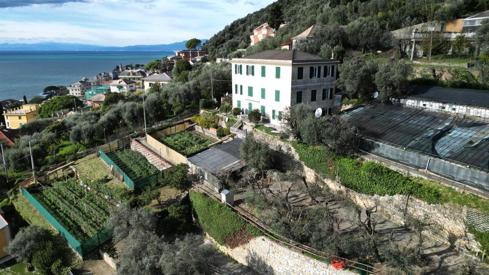 Cav Gli Ulivi Di Holiday home *