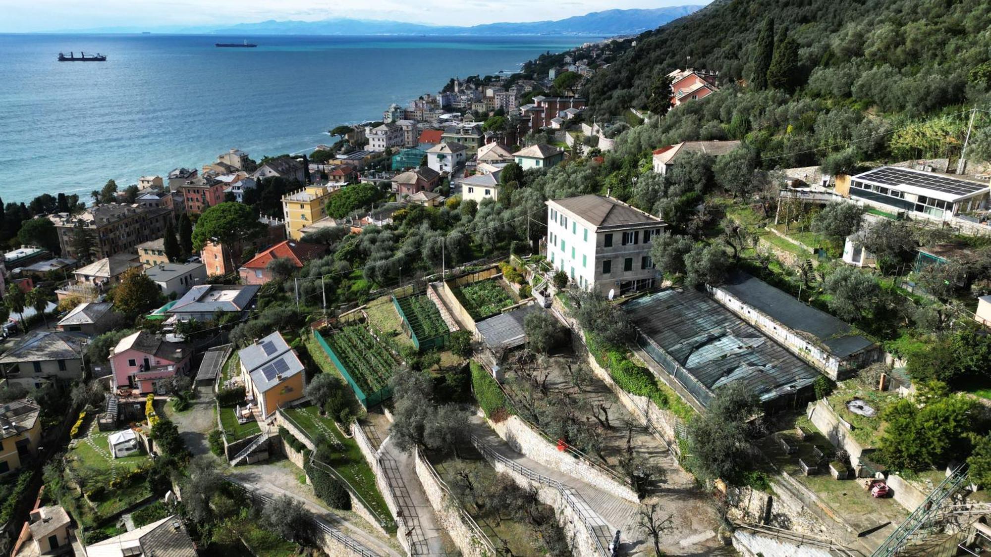 Holiday home Cav Gli Ulivi Di Bogliasco