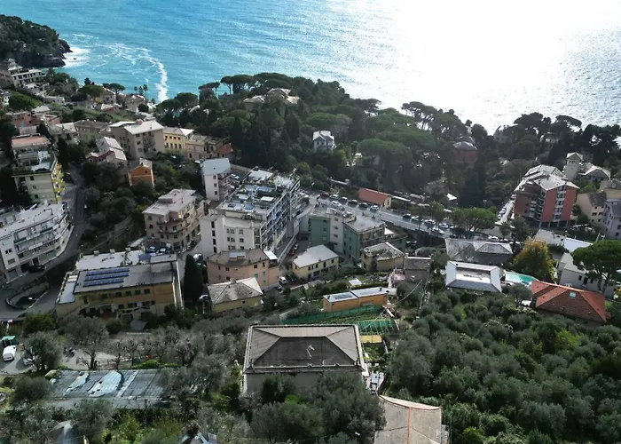 Cav Gli Ulivi Di Bogliasco