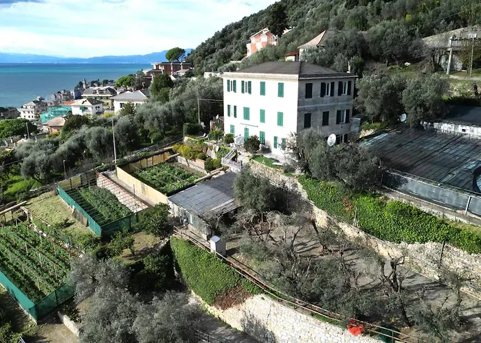 Cav Gli Ulivi Di Bogliasco