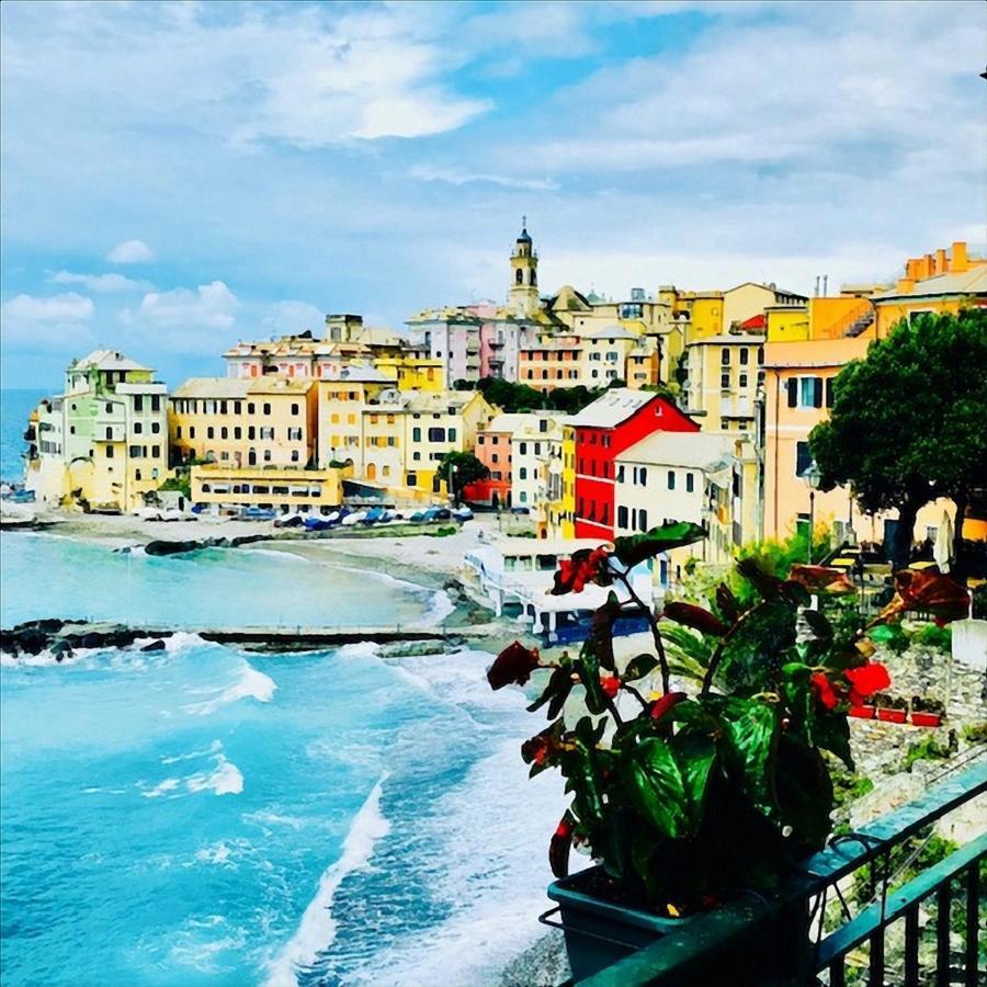 Cav Gli Ulivi Di Bogliasco